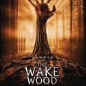 Timothy Spall, Aidan Gillen, Brian Gleeson   Wake Wood is a 2011 British/Irish supernatural horror film set in Northern Ireland. A UK and Irish co-production by Hammer Film Productions, Wake Wood is directed by Ireland's David Keating.
