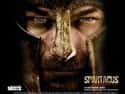 Spartacus: Blood and Sand on Random Best Historical Drama TV Shows