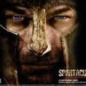 Spartacus: Blood and Sand on Random Movies If You Love 'Tudors'