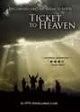 Ticket to Heaven on Random Best Movies About Cults