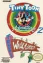 Tiny Toon Adventures 2: Trouble in Wackyland on Random Single NES Game