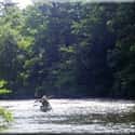 Toccoa/Ocoee River on Random Best American Rivers for Kayaking