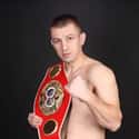 Cruiserweight, Light heavyweight   Tomasz Adamek is a retired Polish professional heavyweight boxer.