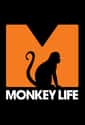 Monkey Life on Random Best Current Animal Planet Shows