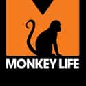 Monkey Life on Random Best Current Animal Planet Shows