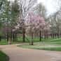 Truman State University is listed (or ranked) 44 on the list The Cheapest Colleges in the Midwest