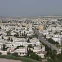 Tunis on Random Global Cities