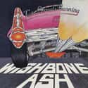 Twin Barrels Burning on Random Best Wishbone Ash Albums