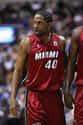 Udonis Haslem on Random Best NBA Players from Florida