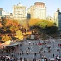 Union Square on Random Top Must-See Attractions in New York