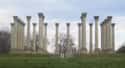 United States National Arboretum on Random Top Must-See Attractions in Washington, D.C.