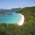 United States Virgin Islands on Random Best Caribbean Countries to Visit