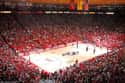 The Pit on Random Best College Basketball Arenas
