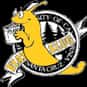 University of California, Sant... is listed (or ranked) 34 on the list The Cheapest Colleges in California