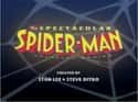The Spectacular Spider-Man on Random Greatest Animated Superhero TV Series
