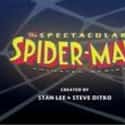 Josh Keaton, Lacey Chabert, Joshua LeBar   The Spectacular Spider-Man is an American animated television series based on the superhero character published by Marvel Comics and developed for television by Greg Weisman and Victor Cook.