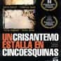 A Crysanthemum Bursts in Cinco... is listed (or ranked) 46 on the list List of All Movies Released in 1997