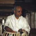 Alla Rakha on Random Best Indian Classical Artists