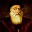 Dom Vasco da Gama, 1st Count of Vidigueira, was a Portuguese explorer.