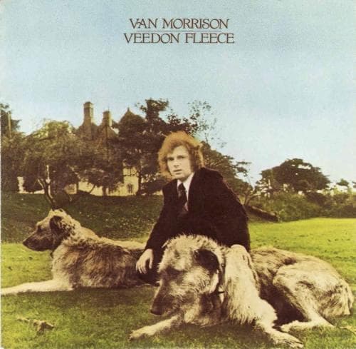 the-35-best-van-morrison-albums-ranked-by-fans