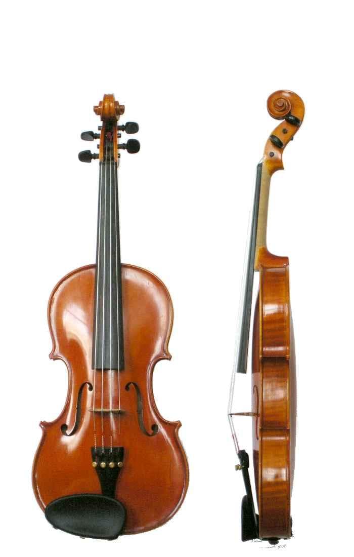 The String instrument List of Musical Instruments in the String instrument Family