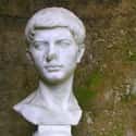The Georgics, Eclogue 1-X   Publius Vergilius Maro, usually called Virgil or Vergil in English, was an ancient Roman poet of the Augustan period.