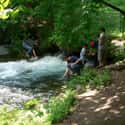 Vrelo Bosne on Random Best Fly Fishing Rivers in the World