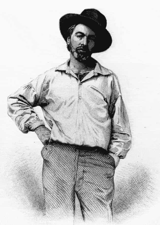 Masculine Beauty by Walt Whitman