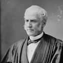 Dec. at 76 (1810-1886)   Ward Hunt, was an American jurist and politician. He was Chief Judge of the New York Court of Appeals from 1868 to 1869, and an associate justice of the U.S.