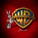 Warner Bros. Animation on Random Best Animation Companies in the World