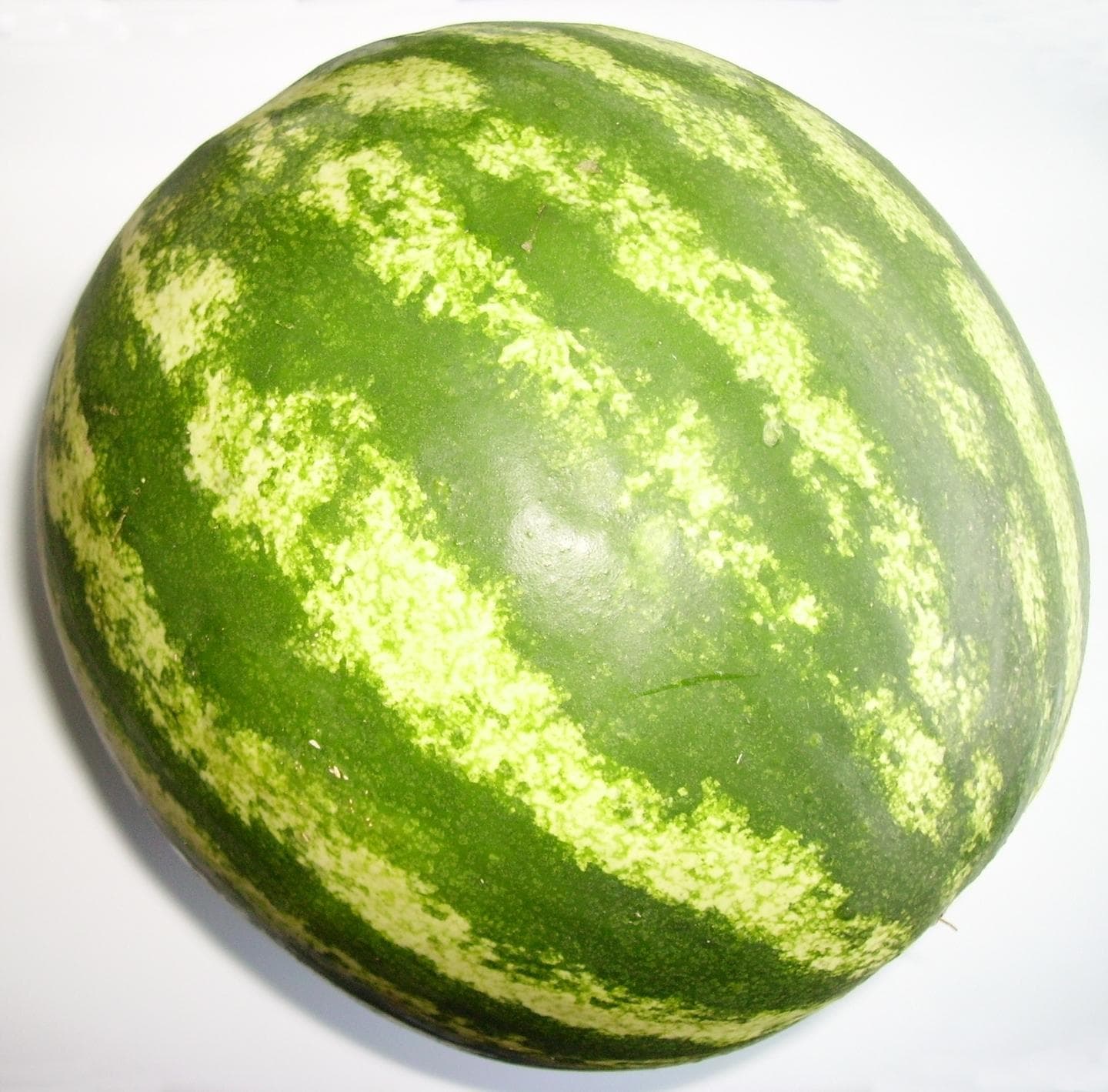 Watermelon on Random Best Tropical Fruits