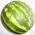 Watermelon on Random Best Tropical Fruits