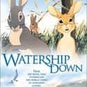 1978   Watership Down is a 1978 British animated adventure drama film written, produced and directed by Martin Rosen and based on the novel of the same name by Richard Adams.