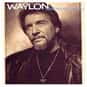 Waymore's Blues (Part II) is listed (or ranked) 33 on the list Famous Albums Produced by Don Was