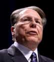 Wayne LaPierre on Random People Is Really Making Decisions In The White House
