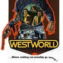 Yul Brynner, James Brolin, Dick Van Patten   Westworld is a 1973 science fiction western-thriller film written and directed by novelist Michael Crichton and produced by Paul Lazarus III about amusement park robots that become evil after a...