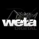 Weta Digital on Random Best Animation Companies in the World