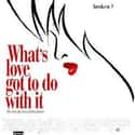 What's Love Got to Do with It on Random Best Black Movies of 1990s
