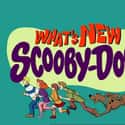 What's New, Scooby-Doo? on Random Best Cartoons