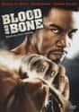 Blood and Bone on Random Best MMA Movies About Fighting