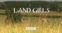 Land Girls on Random Best Streaming Netflix TV Shows