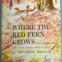 Where the Red Fern Grows on Random Greatest American Novels