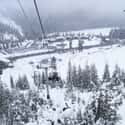White Pass Ski Area on Random Best Places to Ski in the US