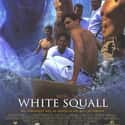 White Squall on Random Best Survival Movies Based on True Stories