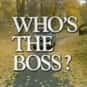 Tony Danza, Judith Light, Alyssa Milano   Who's the Boss? is an American sitcom created by Martin Cohan and Blake Hunter, which aired on ABC from September 20, 1984 to April 25, 1992.