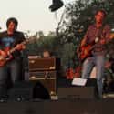 Wilco on Random Best Americana Bands & Artists