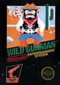 Wild Gunman on Random Single NES Game