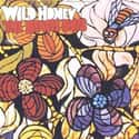 Wild Honey on Random Best Beach Boys Albums
