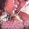 Mickey Rourke, Jacqueline Bissett, Carré Otis   Wild Orchid is a 1990 American erotic film directed by Zalman King and starring Mickey Rourke, Carré Otis, Jacqueline Bisset, Bruce Greenwood, and Assumpta Serna.