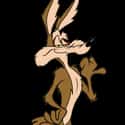 Wile E. Coyote and The Road Runner on Random Best Kids Cartoons